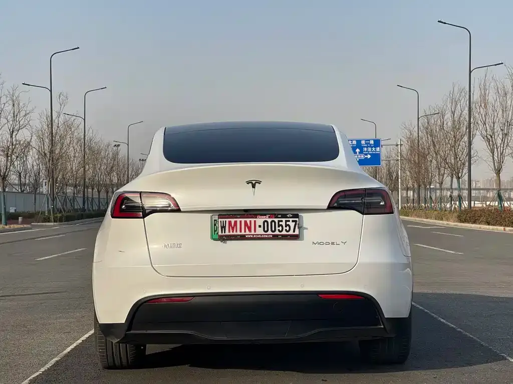 Tesla Model Y 2022 из CN, фото 10