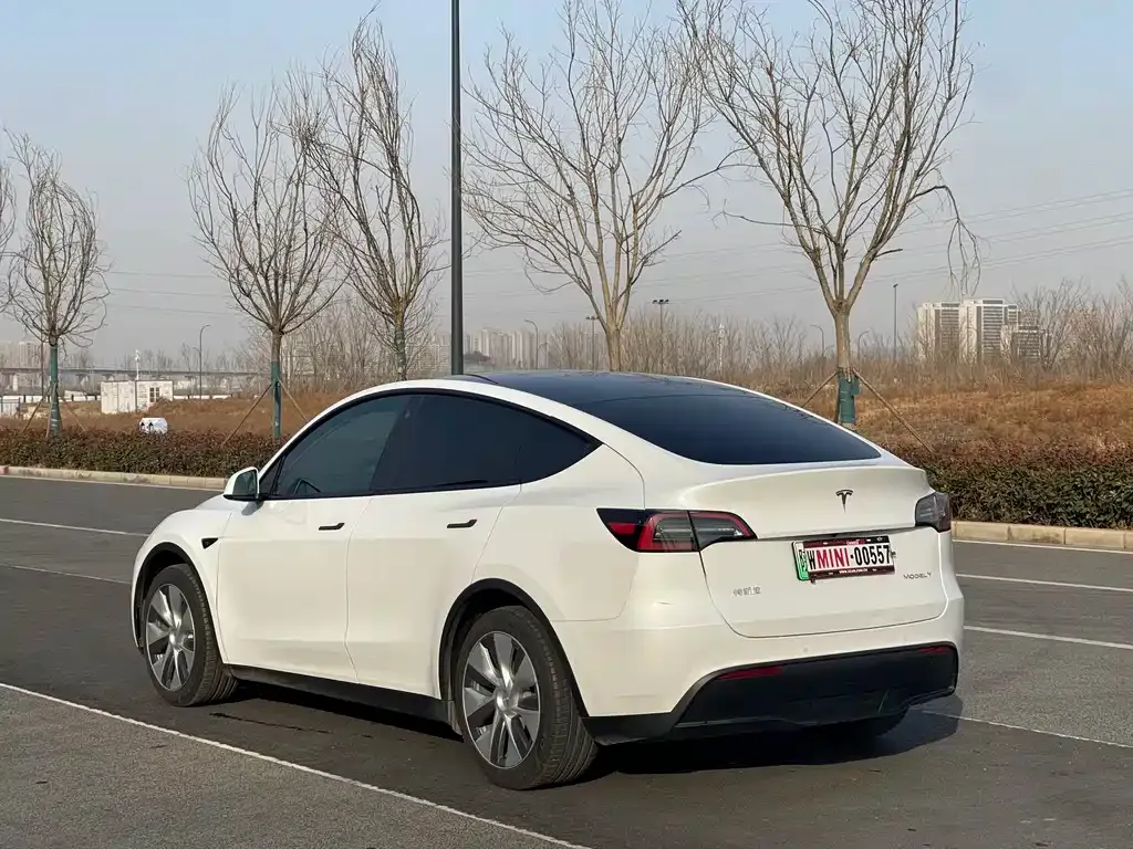 Tesla Model Y 2022 из CN, фото 5