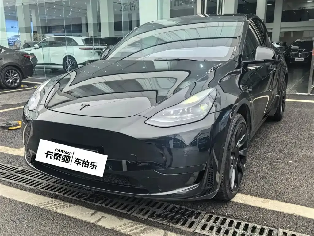 Tesla Model Y — фото 1