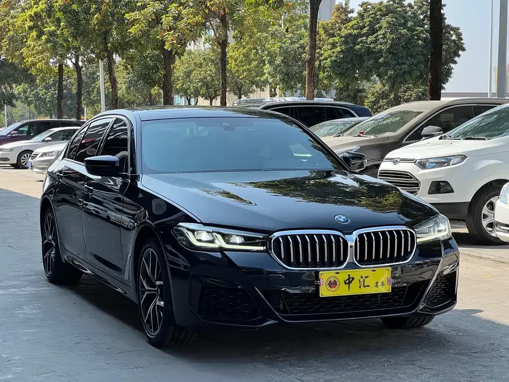 BMW 5 Series 2022 из CN, фото 10