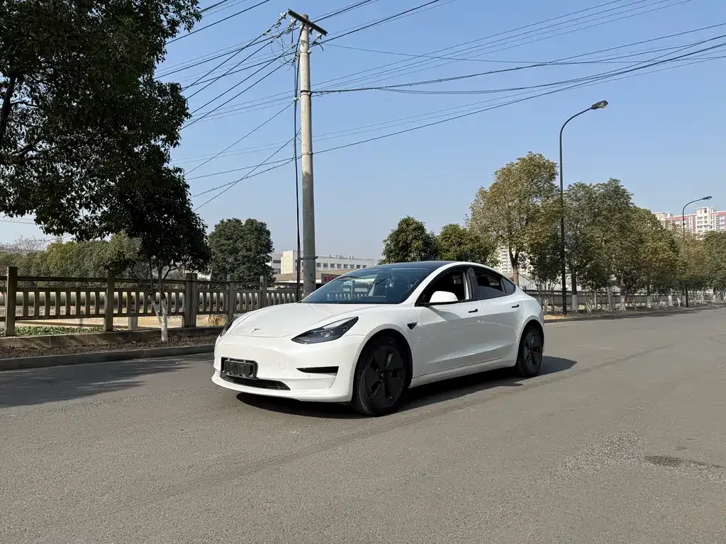 Tesla Model 3 2021 из CN, фото 1