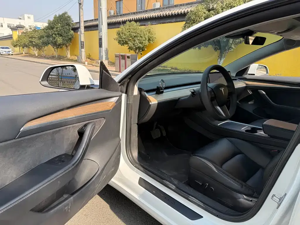 Tesla Model 3 2021 из CN, фото 7