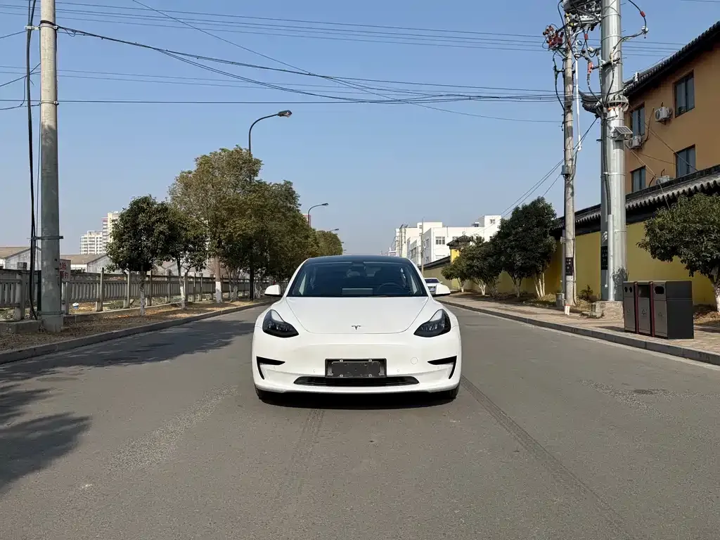Tesla Model 3 2021 из CN, фото 2