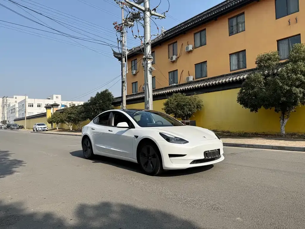 Tesla Model 3 2021 из CN, фото 9
