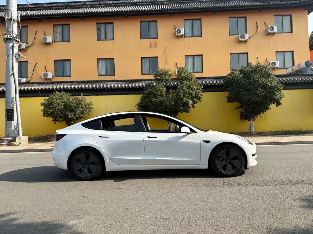 Tesla Model 3 2021 из CN, фото 4