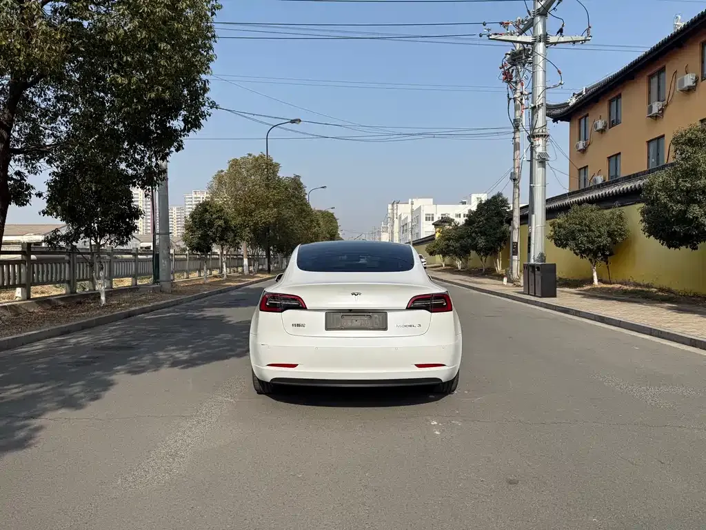 Tesla Model 3 2021 из CN, фото 5