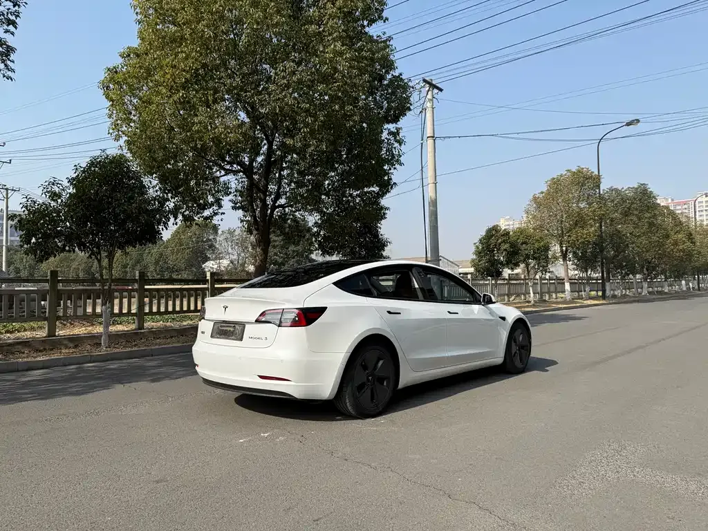 Tesla Model 3 2021 из CN, фото 6