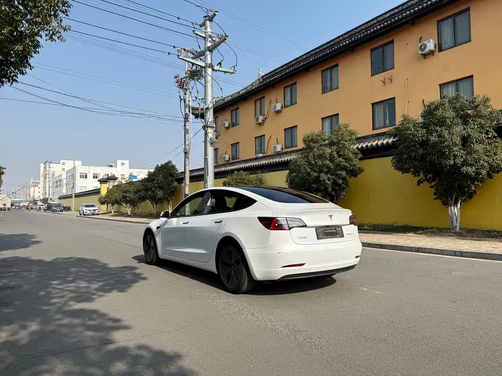Tesla Model 3 2021 из CN, фото 10