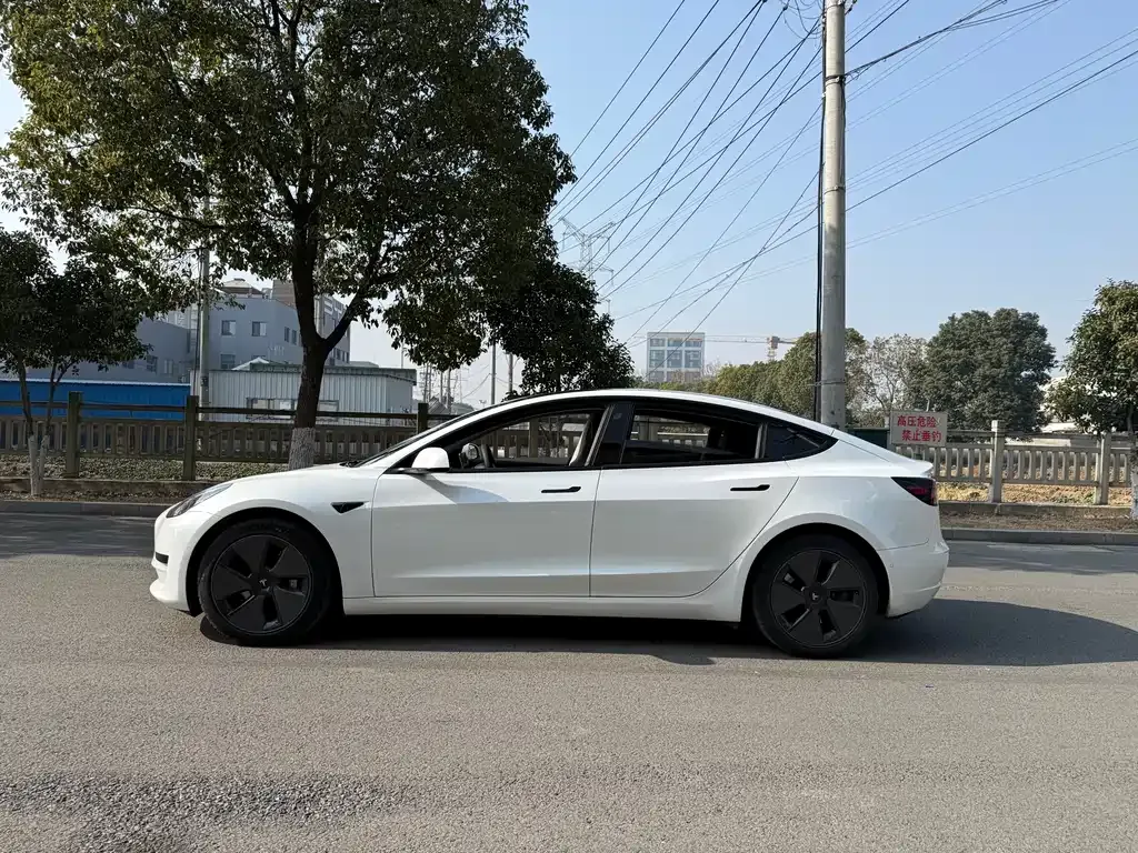 Tesla Model 3 2021 из CN, фото 8
