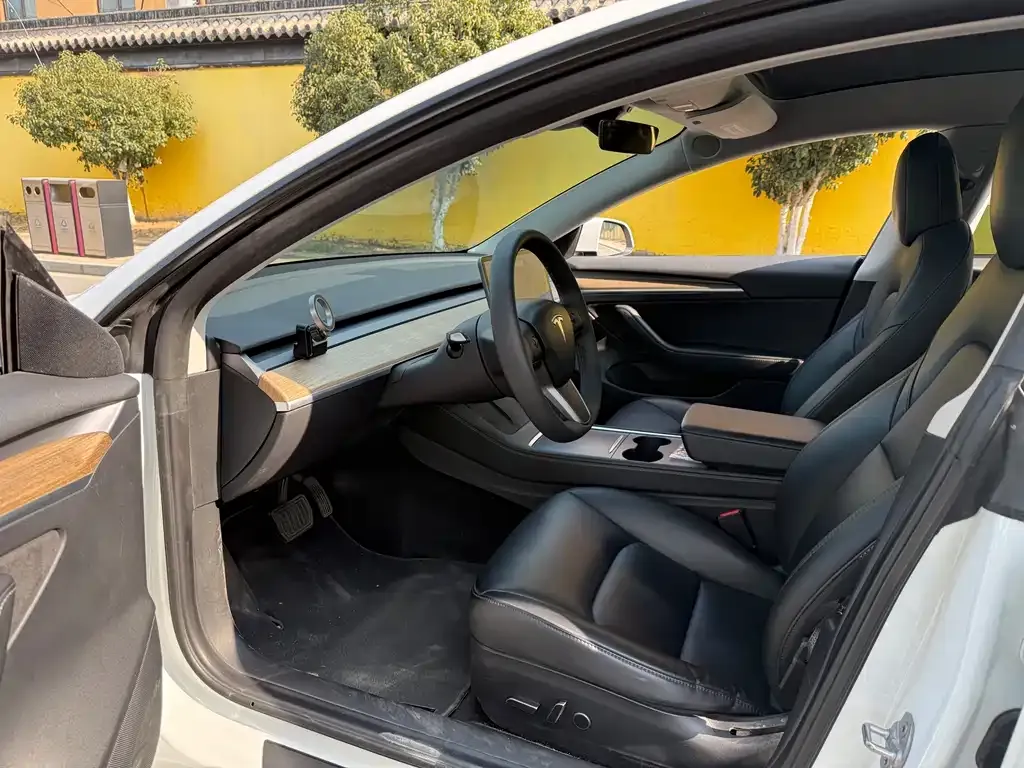 Tesla Model 3 2021 из CN, фото 3