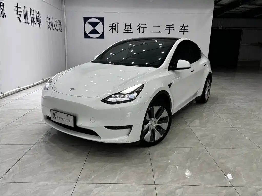 Tesla Model Y 2022 из CN, фото 1