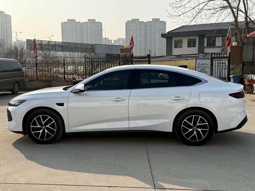 BYD Qin L 2025 из CN, фото 5