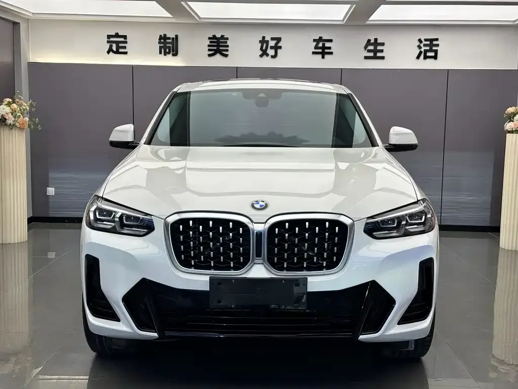 BMW X4 2021 из CN, фото 4