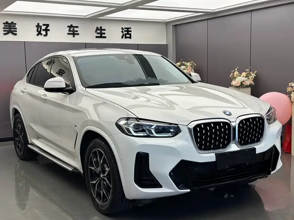 BMW X4 2021 из CN, фото 2