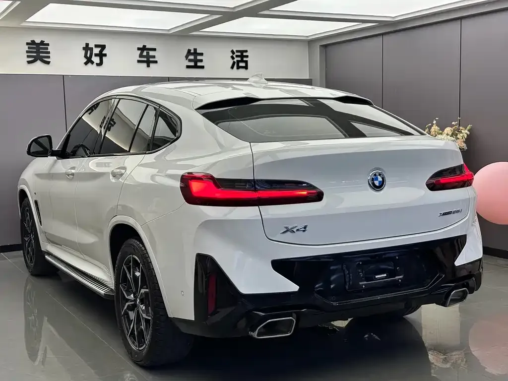 BMW X4 2021 из CN, фото 5