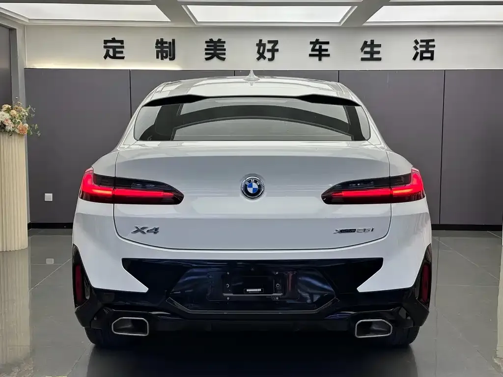 BMW X4 2021 из CN, фото 3