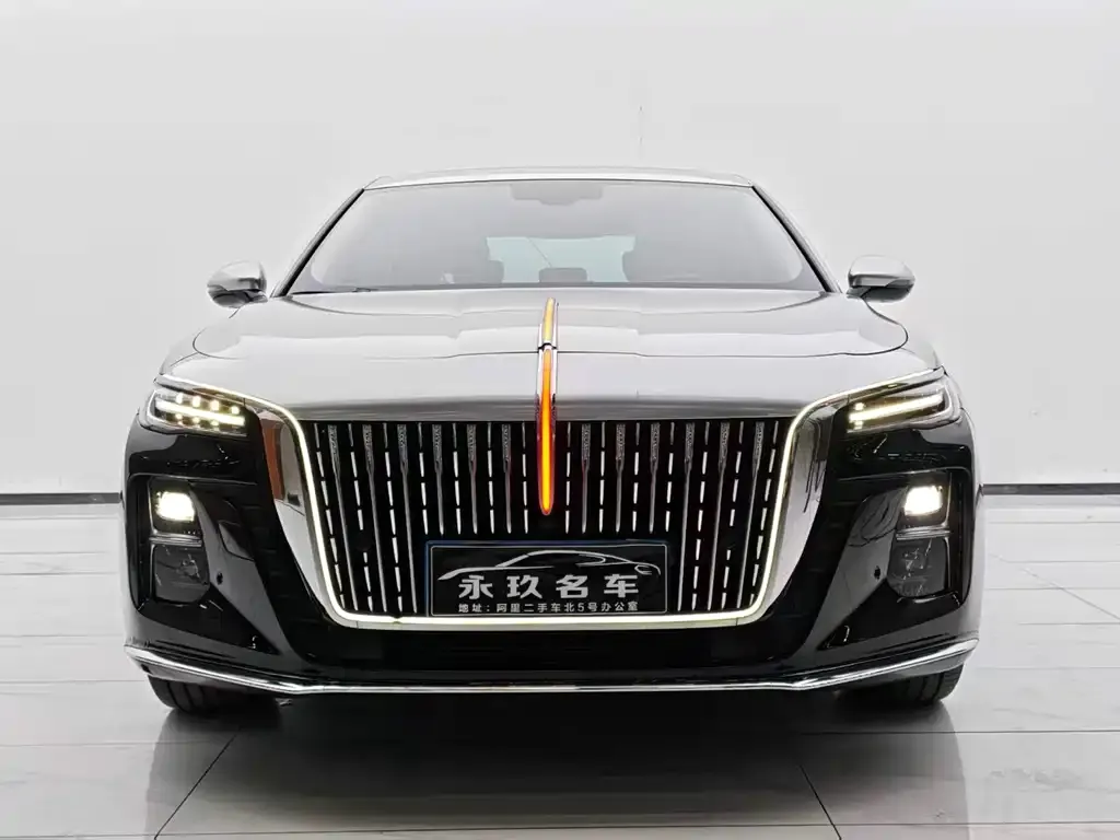 Hongqi H5 2024 из CN, фото 10