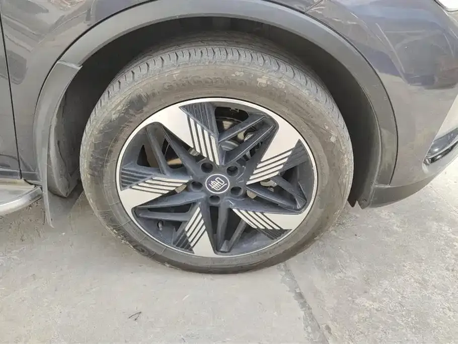 BYD Tang New Energy 2024 из CN, фото 2