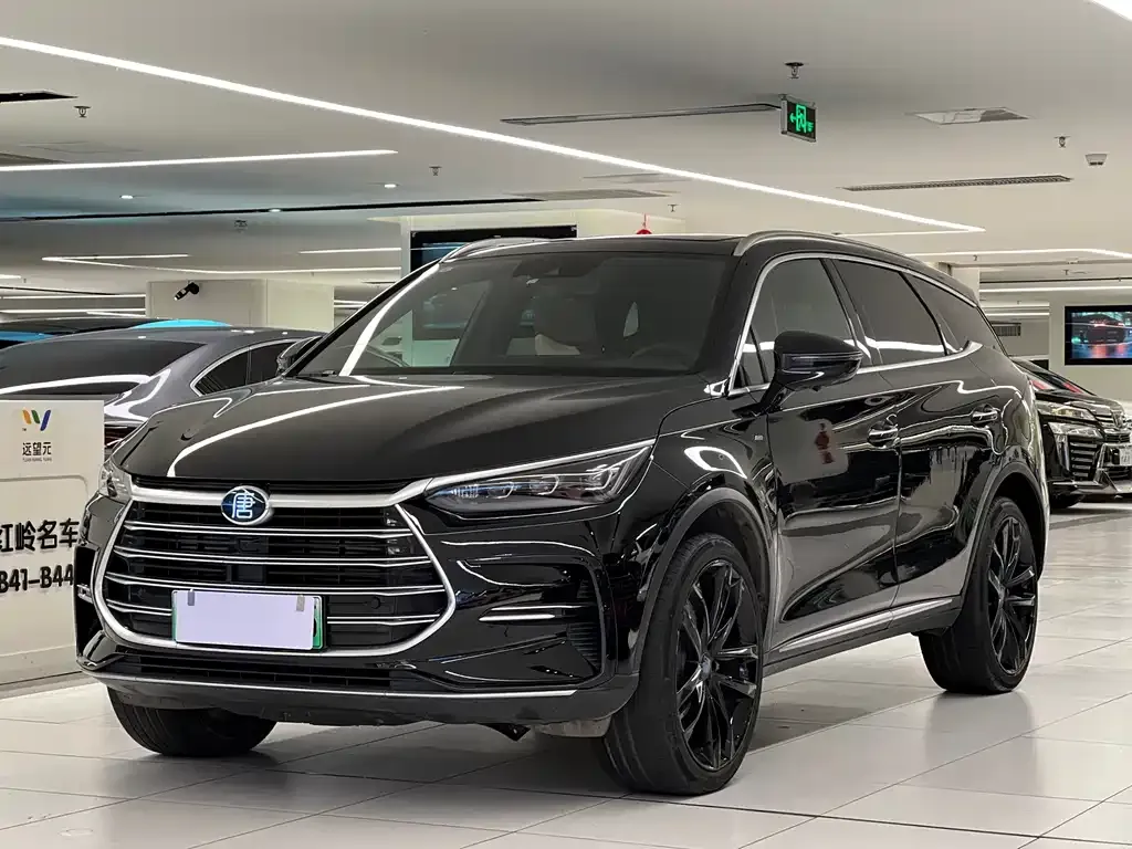 BYD Tang New Energy 2021 из CN, фото 1