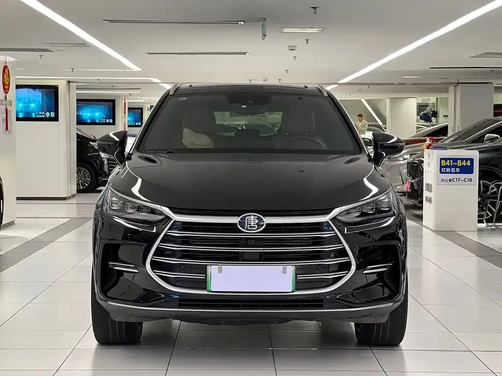 BYD Tang New Energy 2021 из CN, фото 2