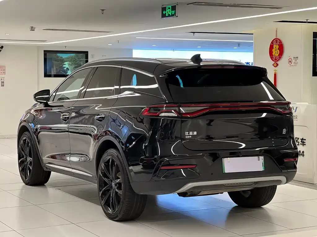 BYD Tang New Energy 2021 из CN, фото 8