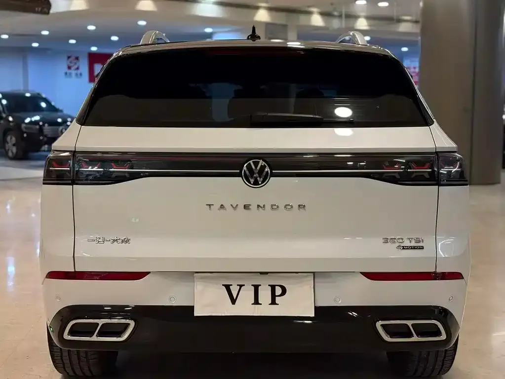 Volkswagen Tavendor 2023 из CN, фото 2