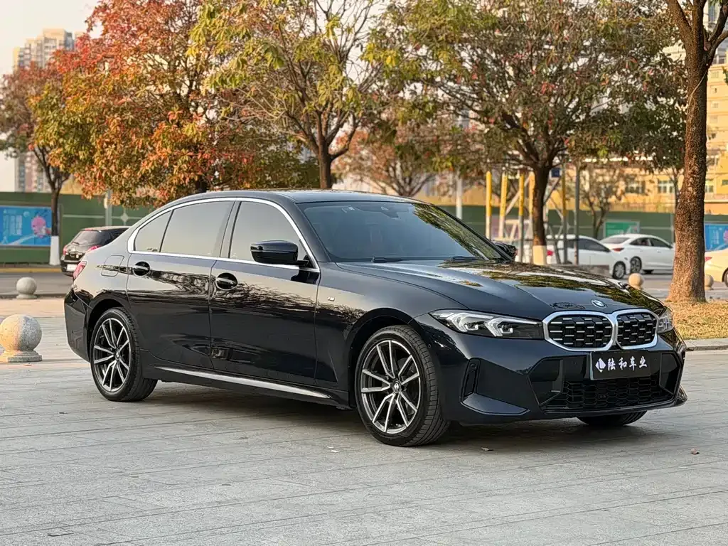 BMW 3 Series 2024 из CN, фото 5