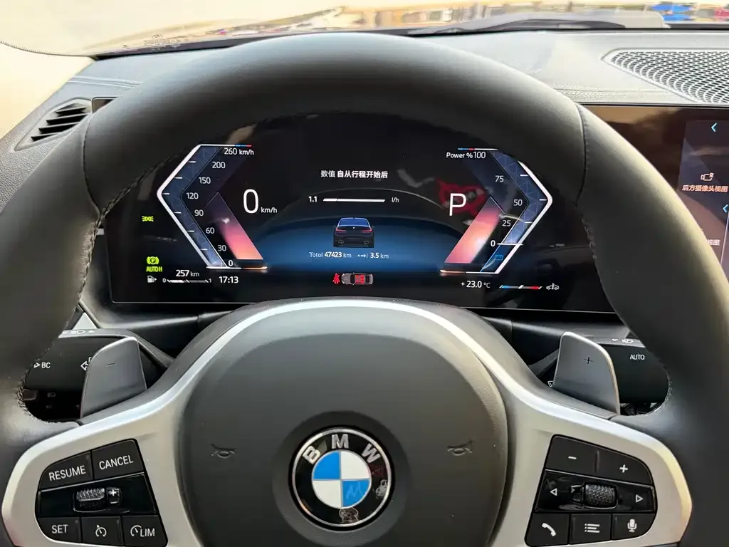 BMW 3 Series 2024 из CN, фото 6