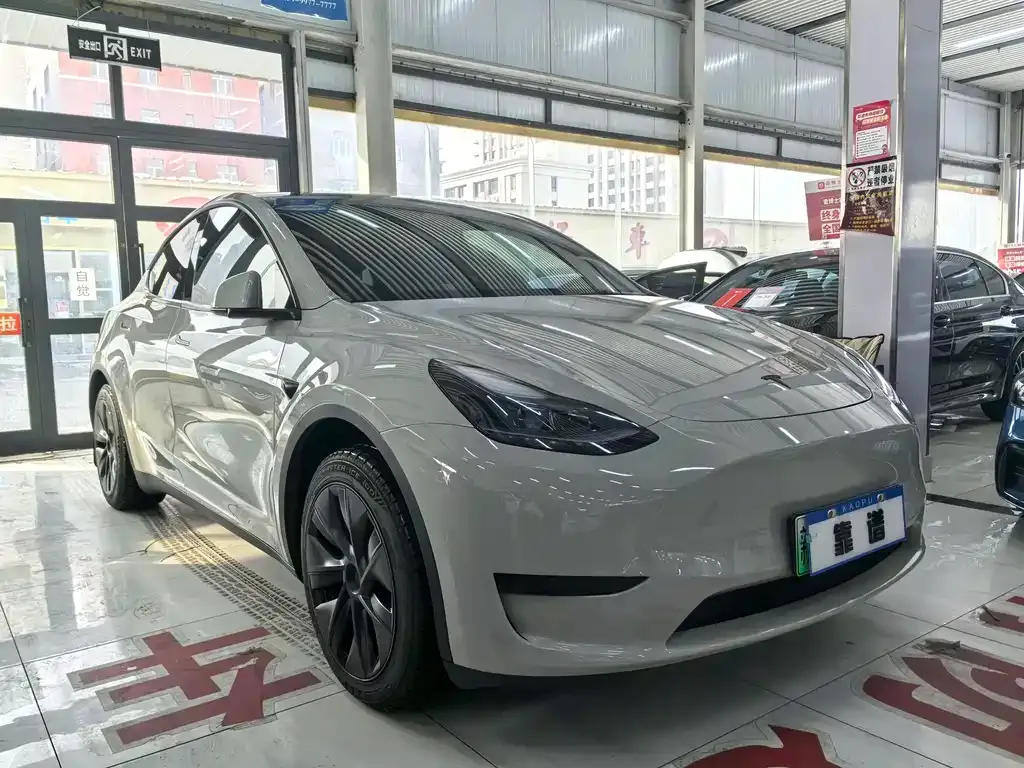Tesla Model Y — фото 5