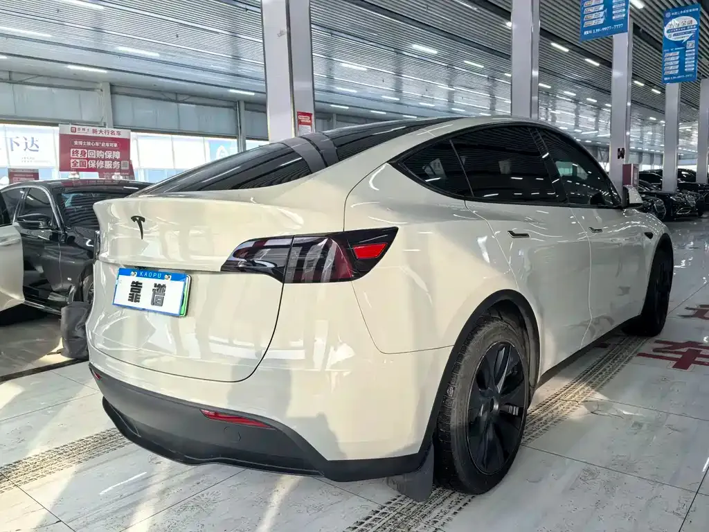 Tesla Model Y — фото 6