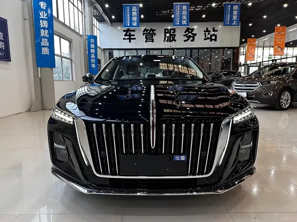 Hongqi H5 2024 из CN, фото 7