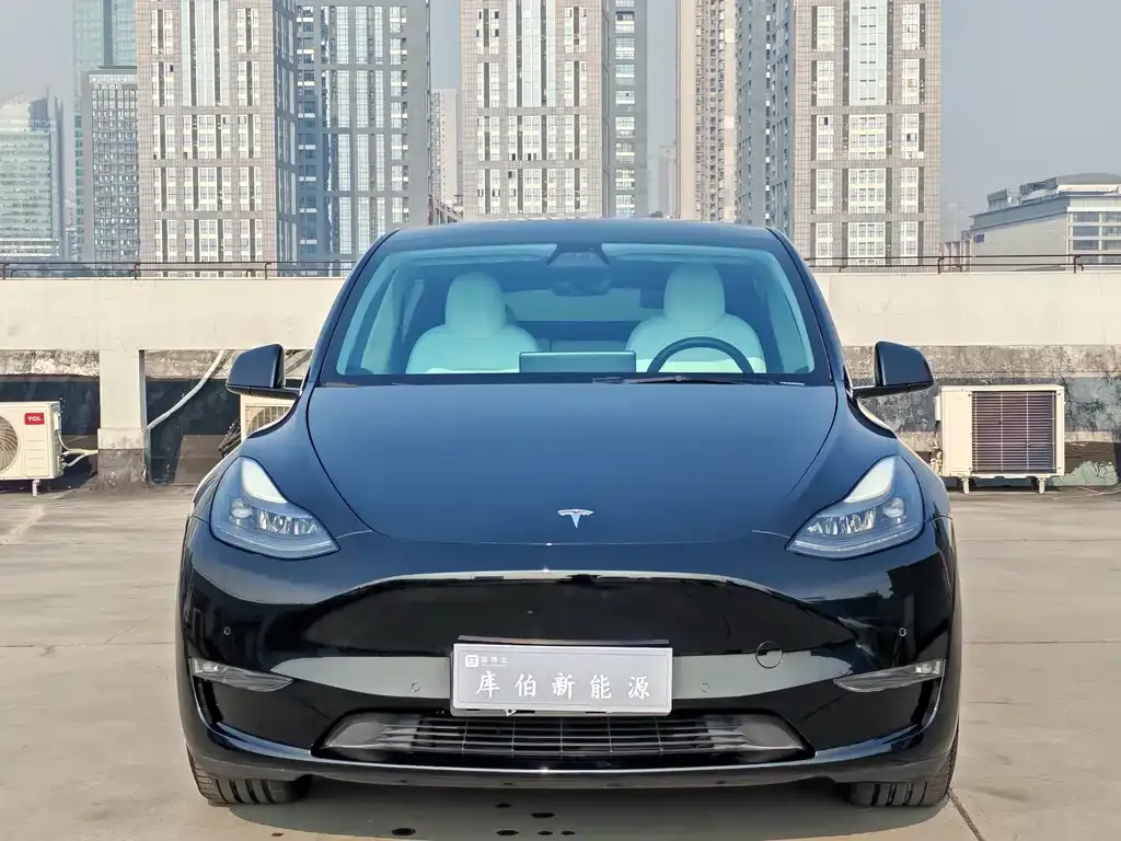 Tesla Model Y — фото 9