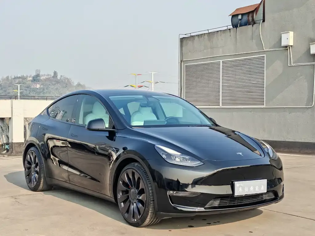 Tesla Model Y — фото 8