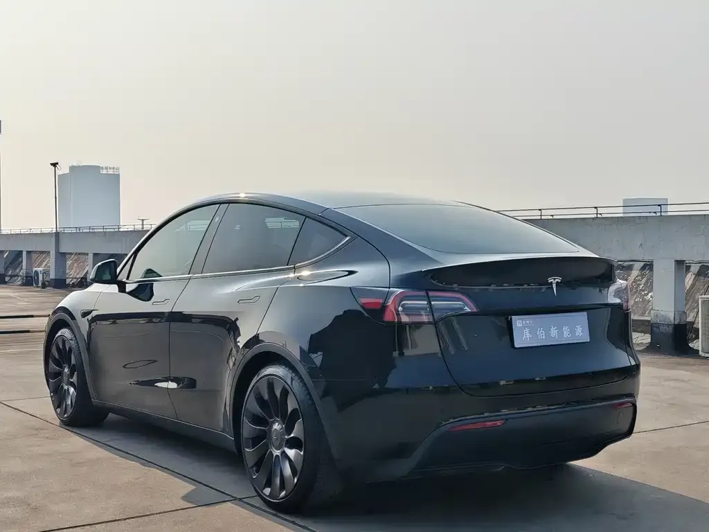Tesla Model Y — фото 5