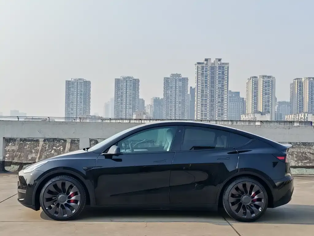 Tesla Model Y — фото 6