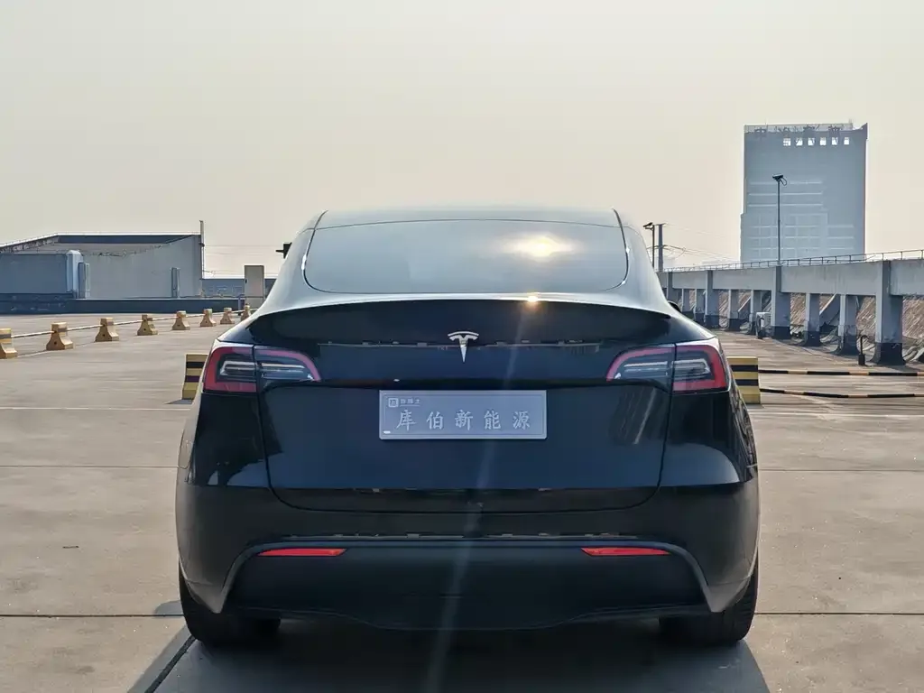 Tesla Model Y — фото 2