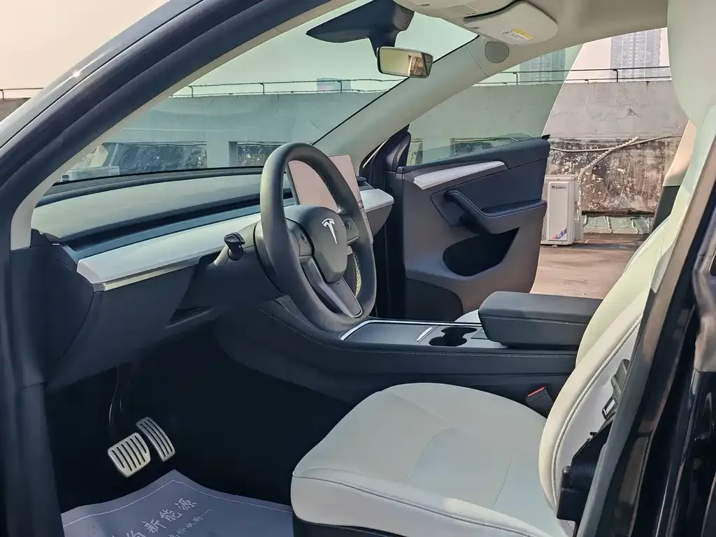 Tesla Model Y — фото 10