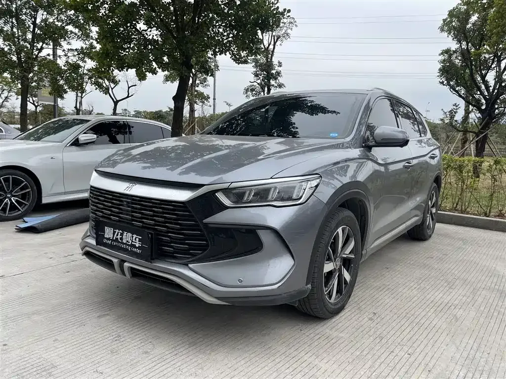 BYD Pro New Energy 2024 из CN, фото 1