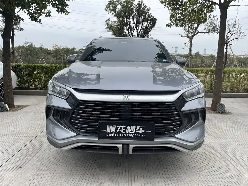 BYD Pro New Energy 2024 из CN, фото 8