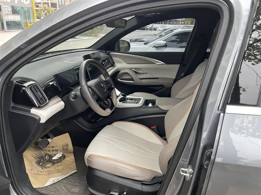 BYD Pro New Energy 2024 из CN, фото 6