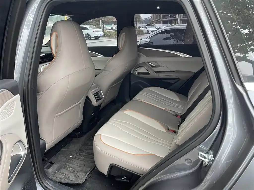 BYD Pro New Energy 2024 из CN, фото 2