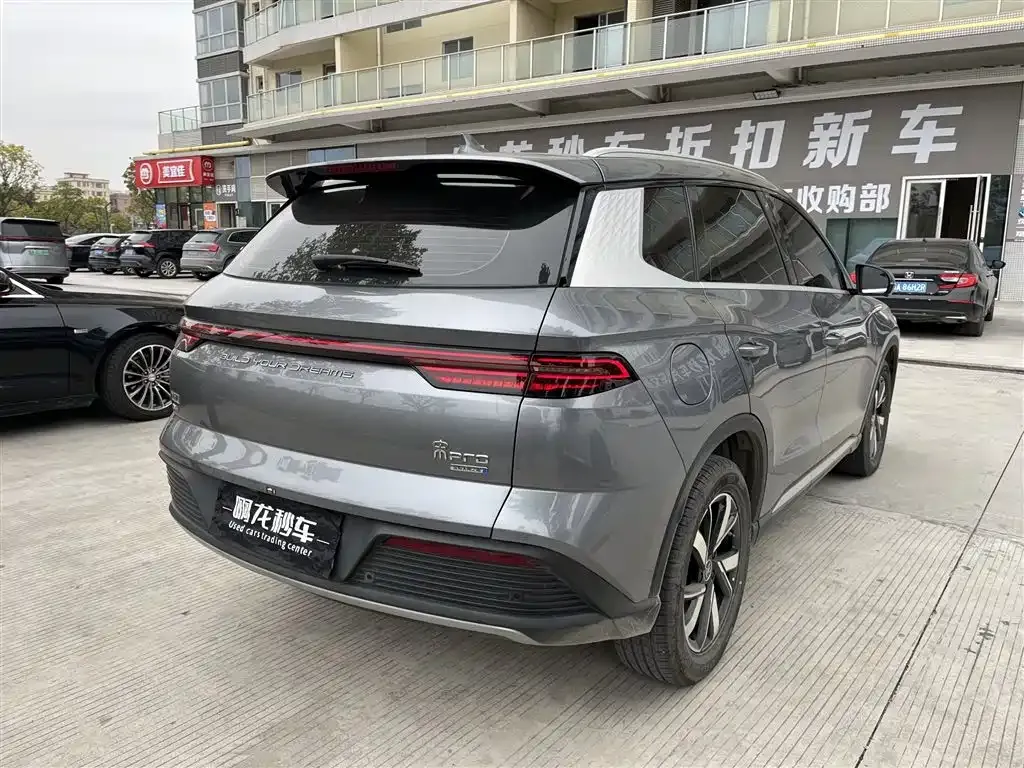 BYD Pro New Energy 2024 из CN, фото 4
