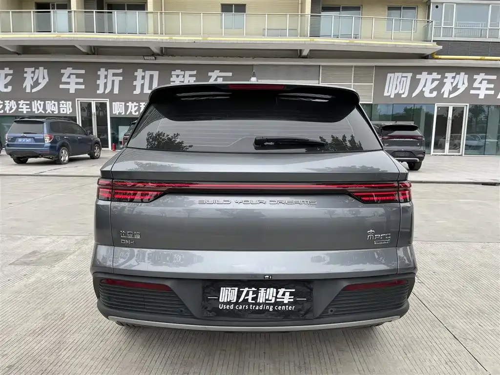 BYD Pro New Energy 2024 из CN, фото 7