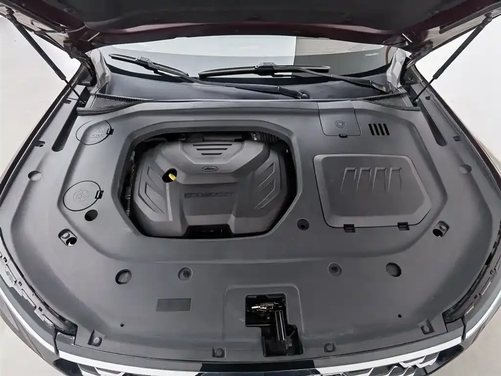 Ford Territory 2021 из CN, фото 6