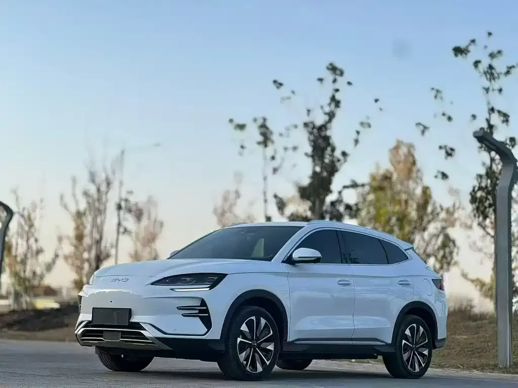 BYD PLUS New Energy 2023 из CN, фото 1