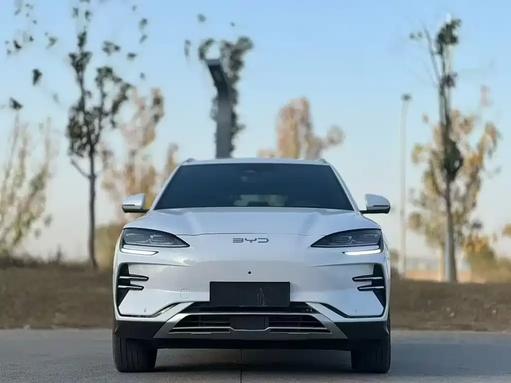 BYD PLUS New Energy 2023 из CN, фото 2