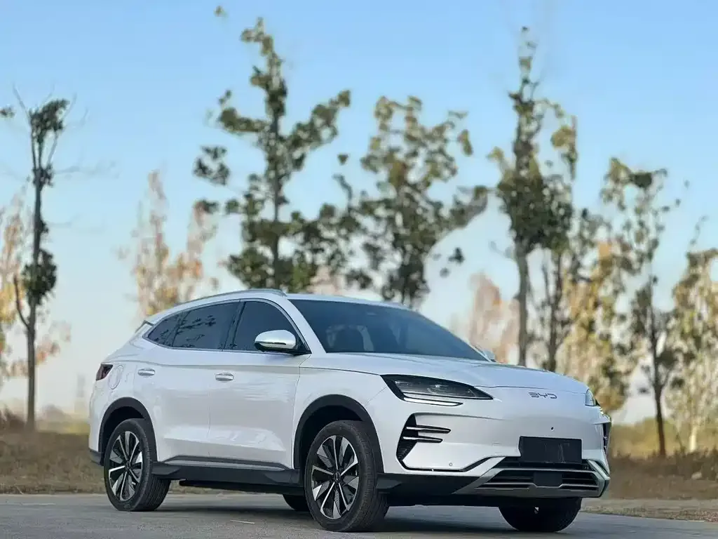 BYD PLUS New Energy 2023 из CN, фото 4
