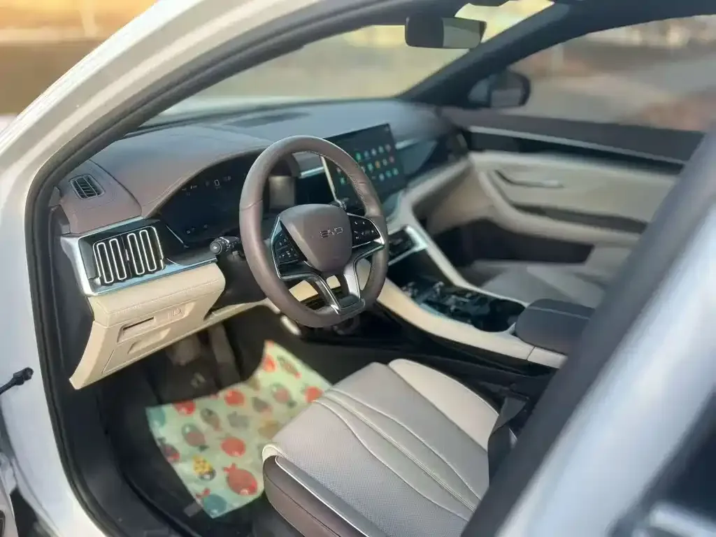 BYD PLUS New Energy 2023 из CN, фото 5