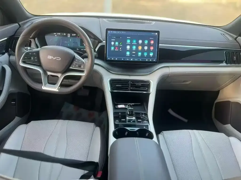 BYD PLUS New Energy 2023 из CN, фото 6