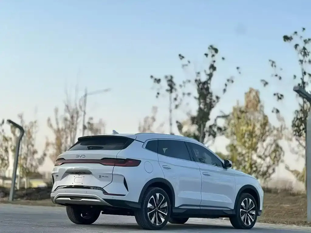BYD PLUS New Energy 2023 из CN, фото 9